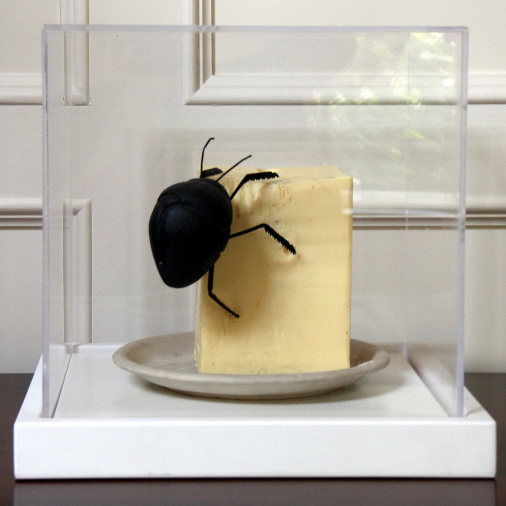 Nao Matsumoto, Luxury